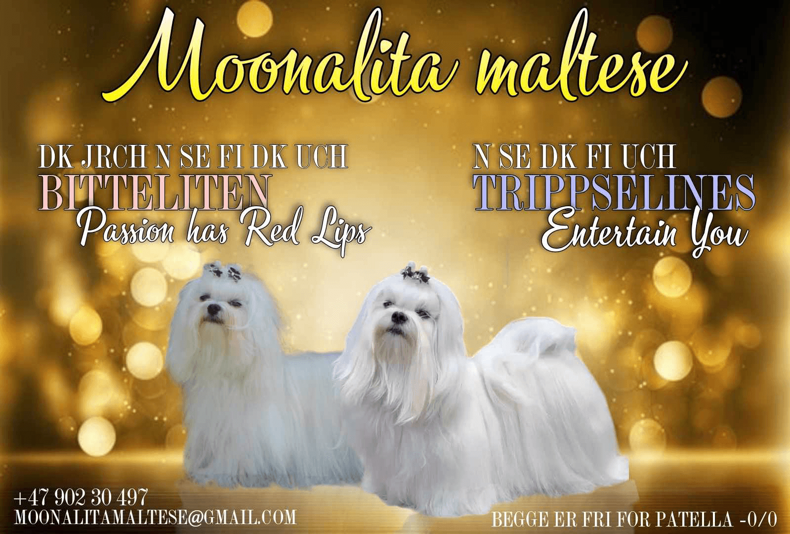 Moonalita maltese