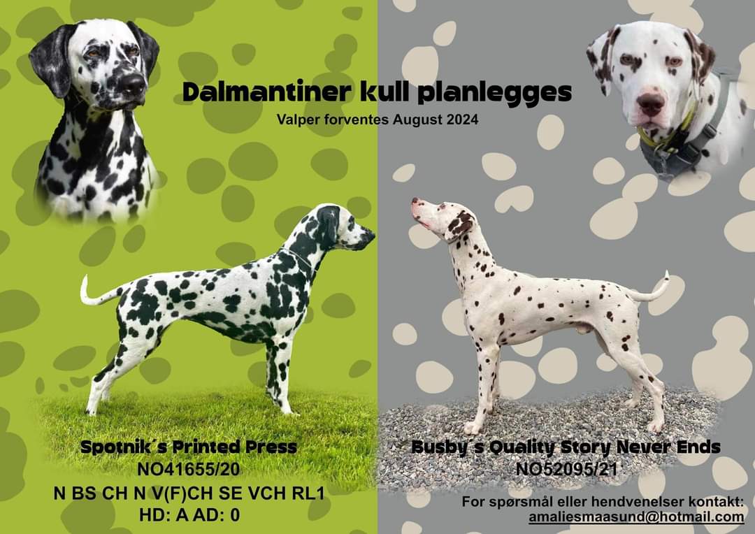 Kennel North AthletiX- Fifty Shades Of Grey kullet