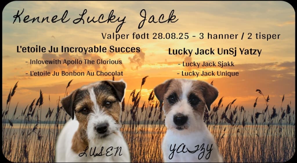Lucky Jack
