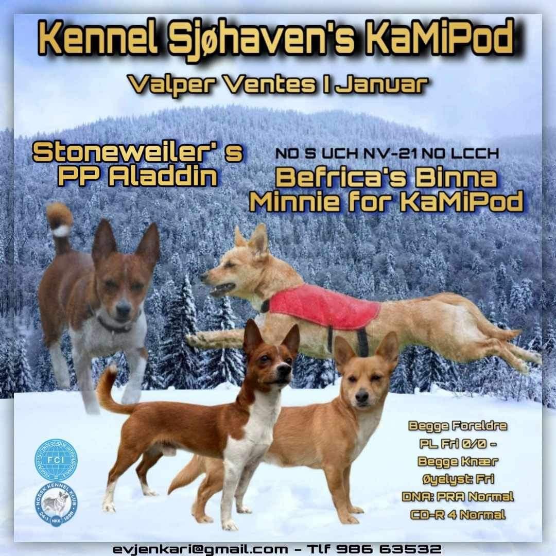Sjøhaven’s KaMiPod