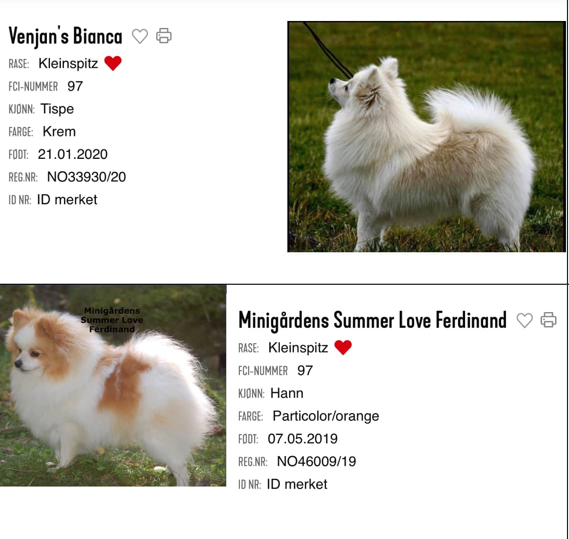 Bianca/Ferdinand