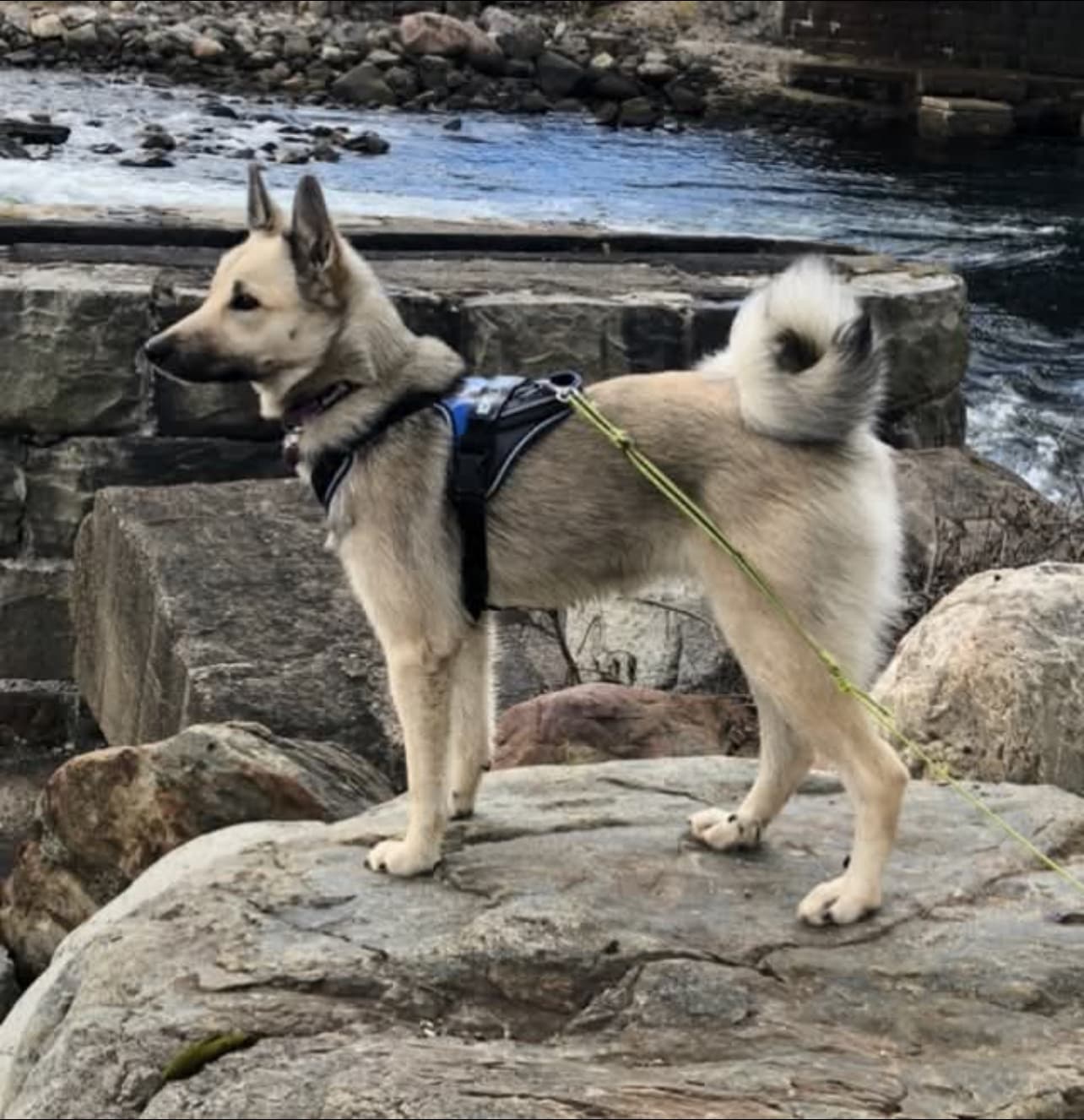 Hilde Mari J Lauransen