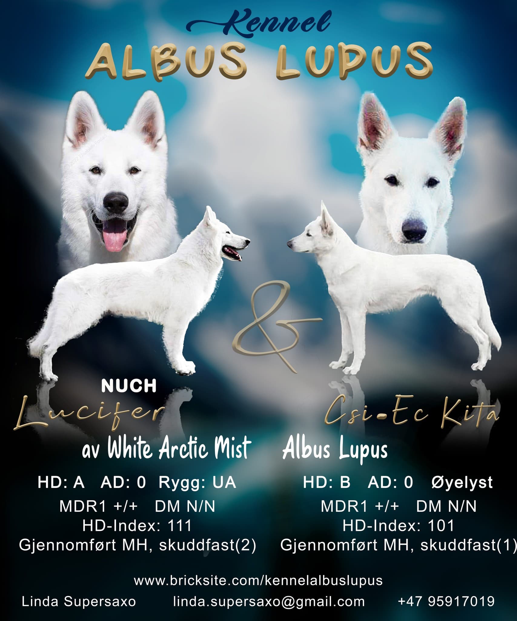 Albus Lupus Ki-Lu