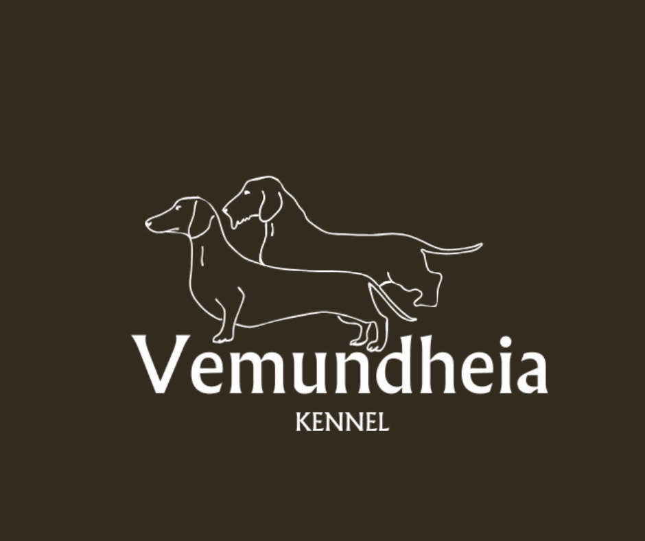 Vemundheia