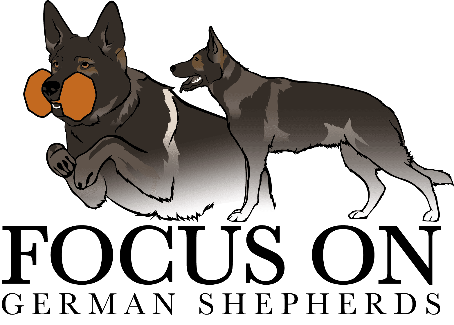 Focus On – Schäferhund normalhår kennelbilde