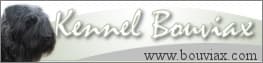 Bouviax – Bouvier des flandres kennelbilde