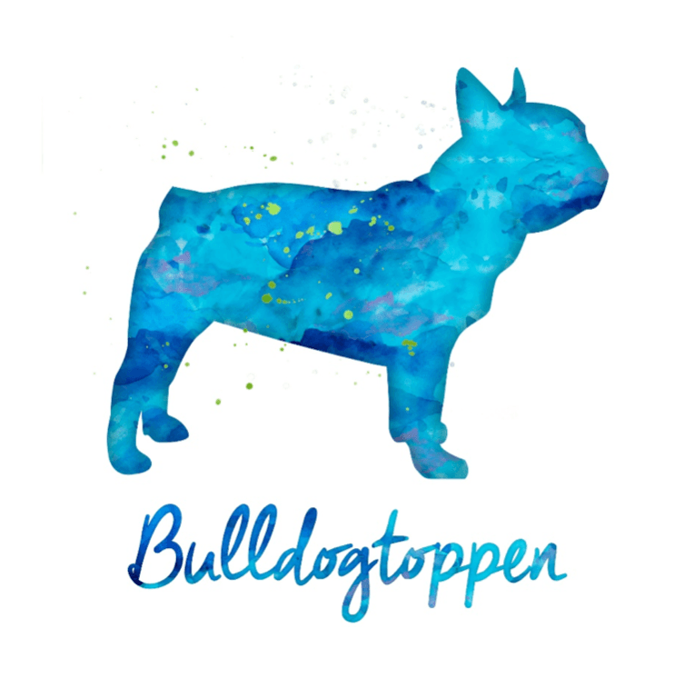 Bulldogtoppen – Fransk bulldog kennelbilde