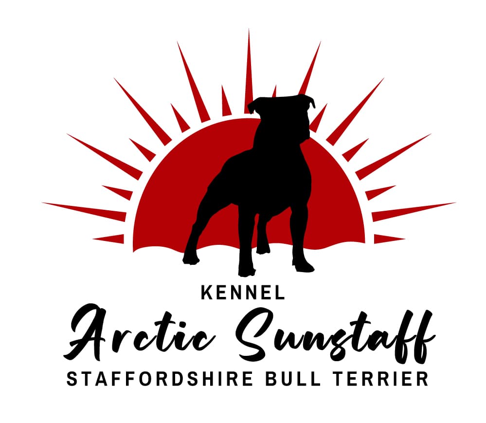 Arcticsunstaff – Staffordshire bull terrier kennelbilde