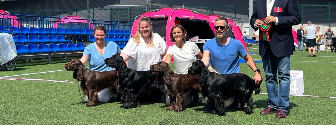 Fields Of Joy – Field spaniel kennelbilde