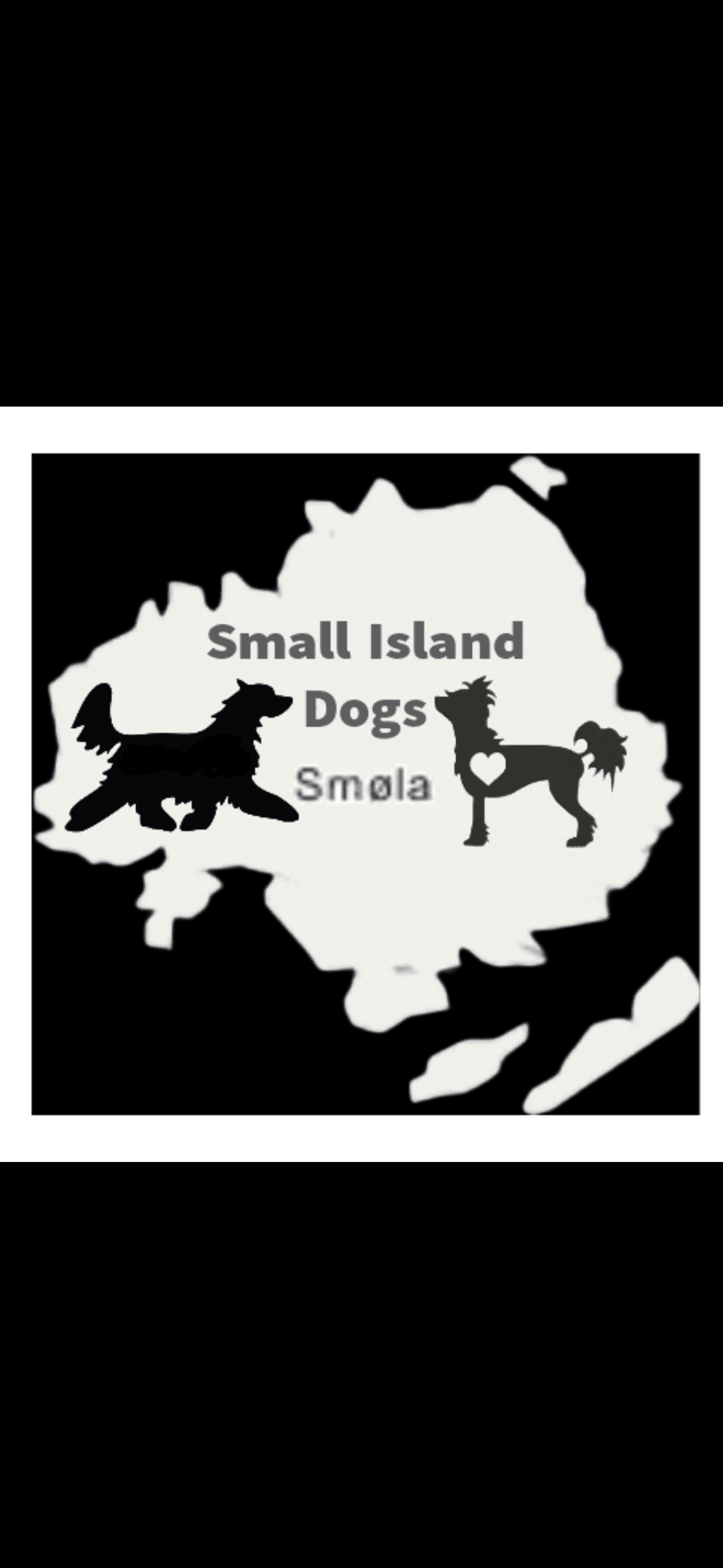 Smal Island Dogs