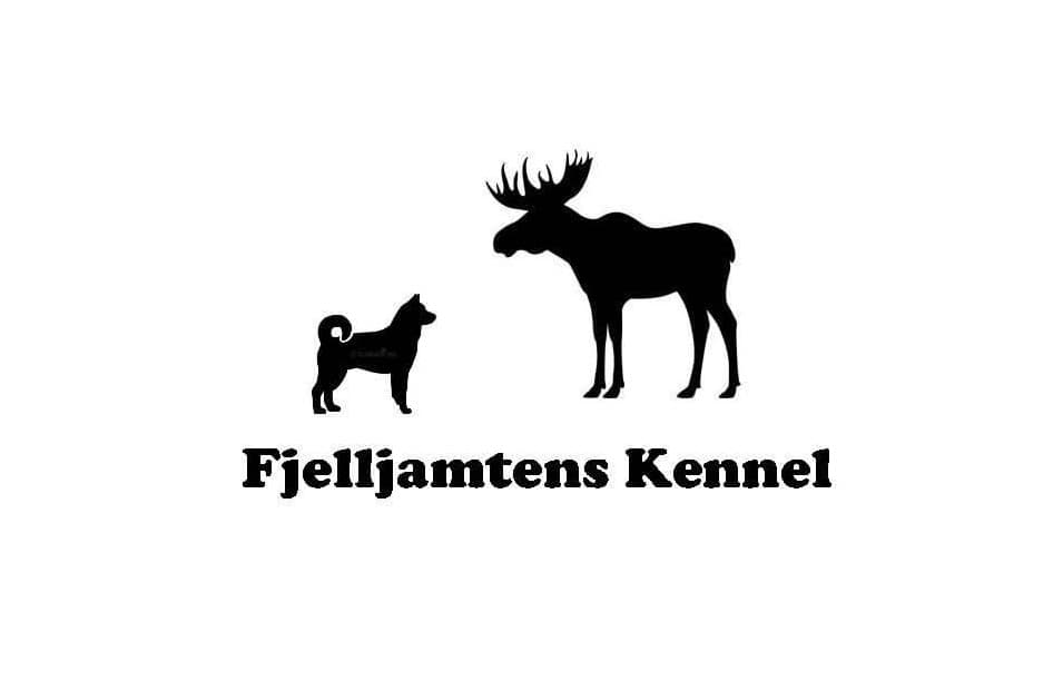 Fjelljamtens kennel – Jämthund kennelbilde