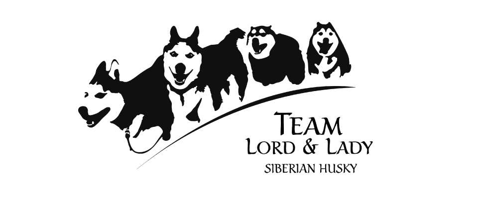 Team Lord&Lady Siberian Husky – Siberian husky kennelbilde