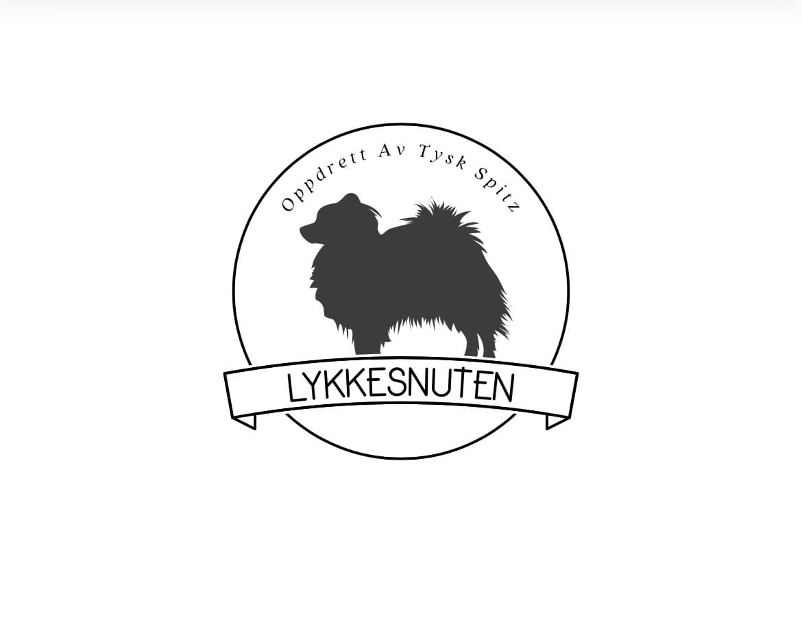 Lykkesnuten – Mittelspitz kennelbilde