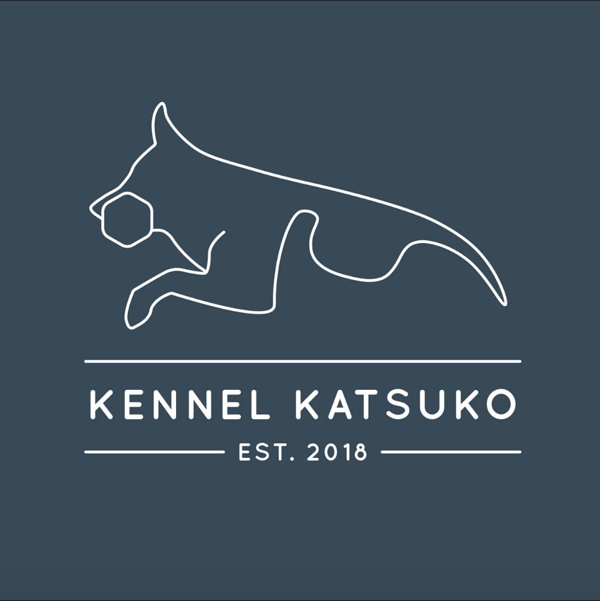 Katsuko – Schäferhund normalhår kennelbilde