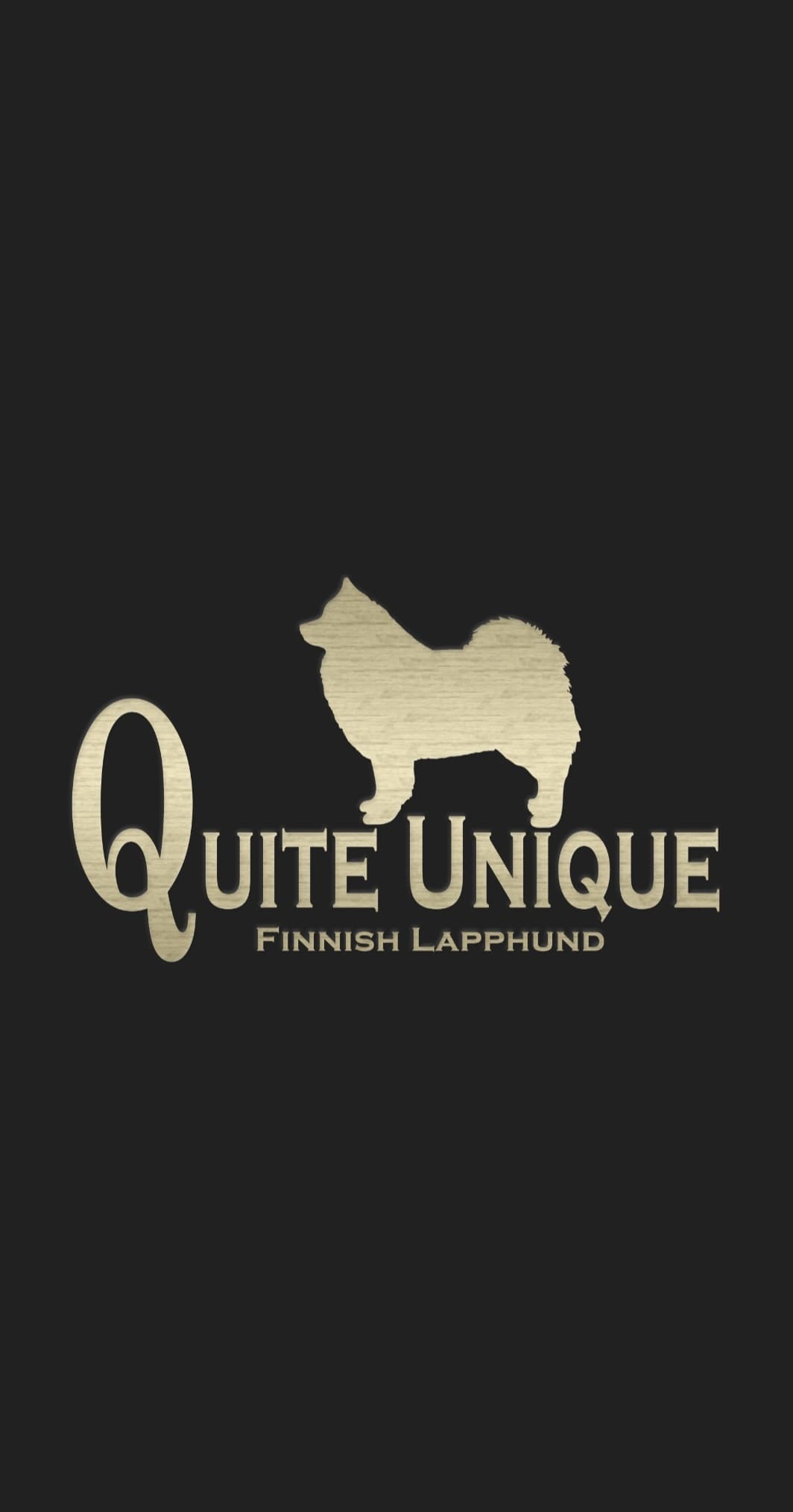 Quite Unique – Finsk lapphund kennelbilde