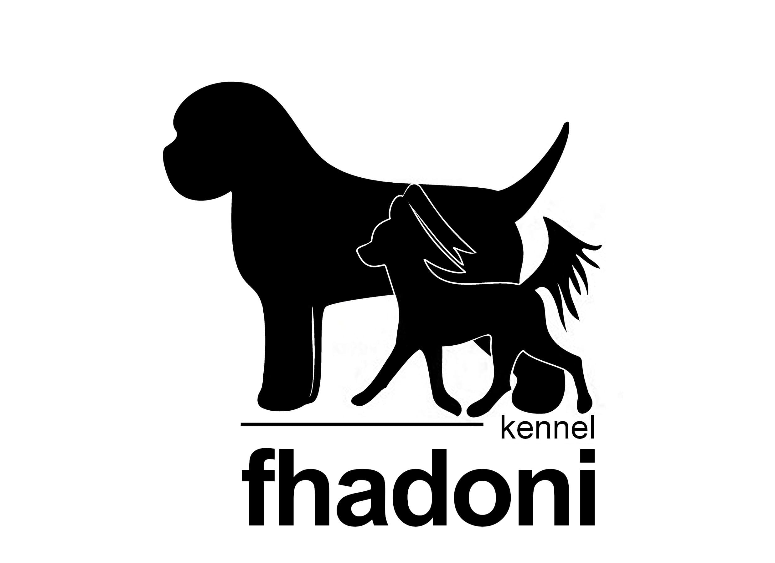 Fhadoni – Lagotto romagnolo kennelbilde