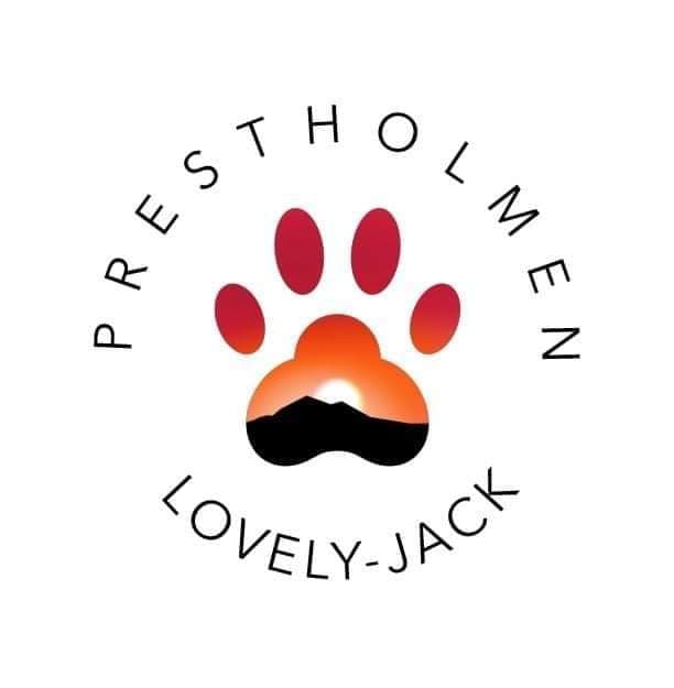 Prestholmen Lovely-Jack – Jack russell terrier kennelbilde