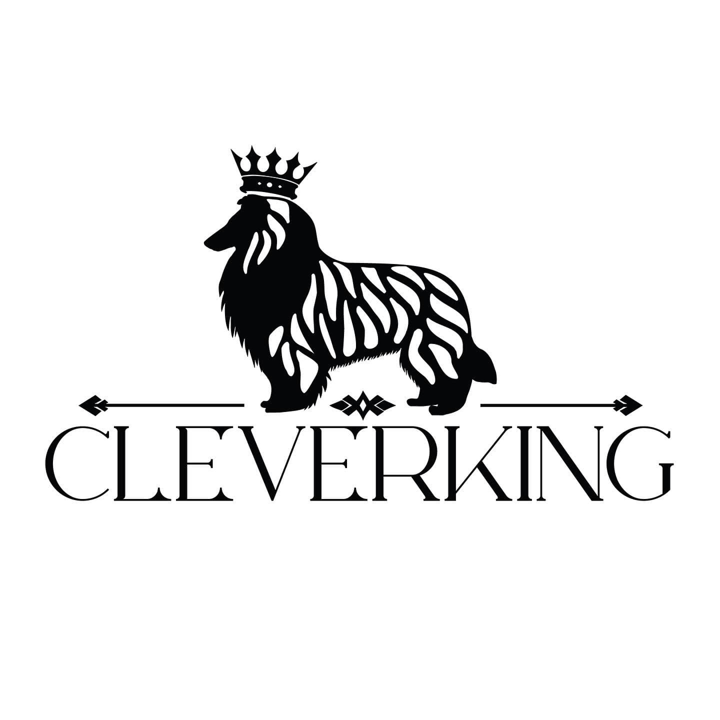 Cleverking – Collie langhåret kennelbilde