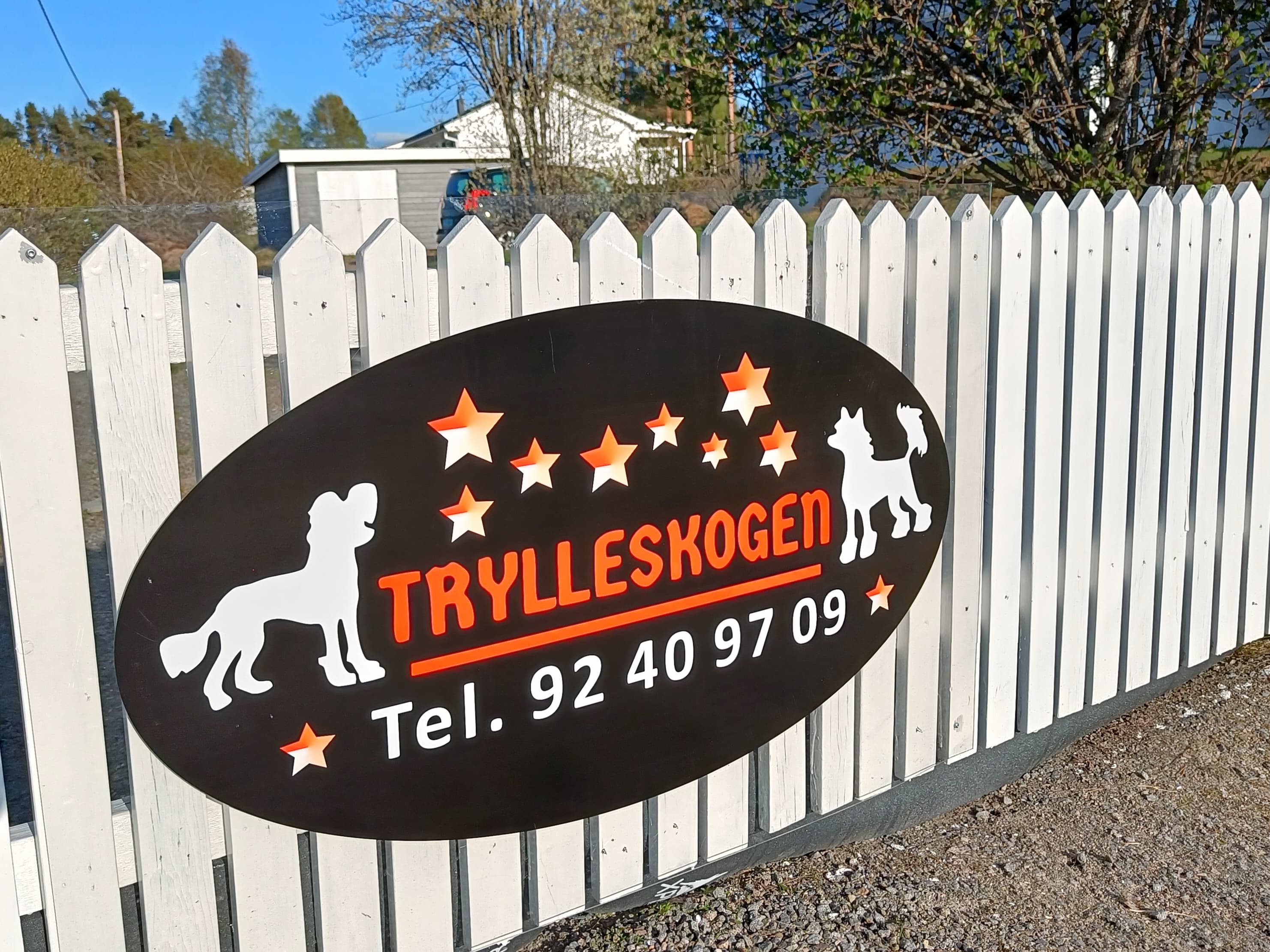 Trylleskogen – Chinese crested kennelbild