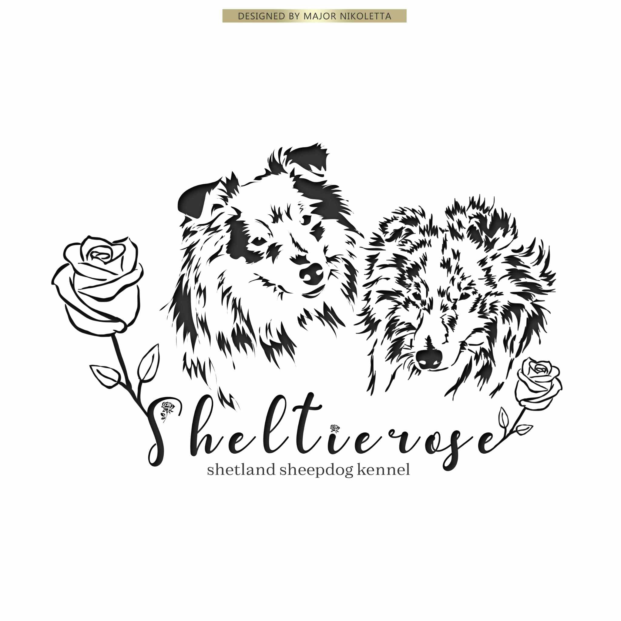 Sheltierose – Shetland sheepdog kennelbilde