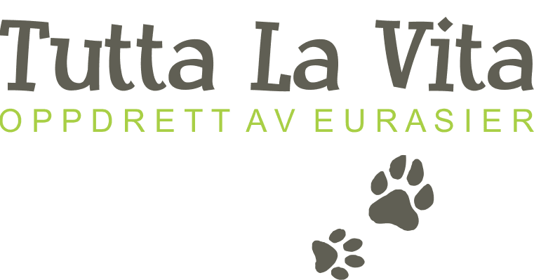 Tutta La Vita – Eurasier kennelbillede