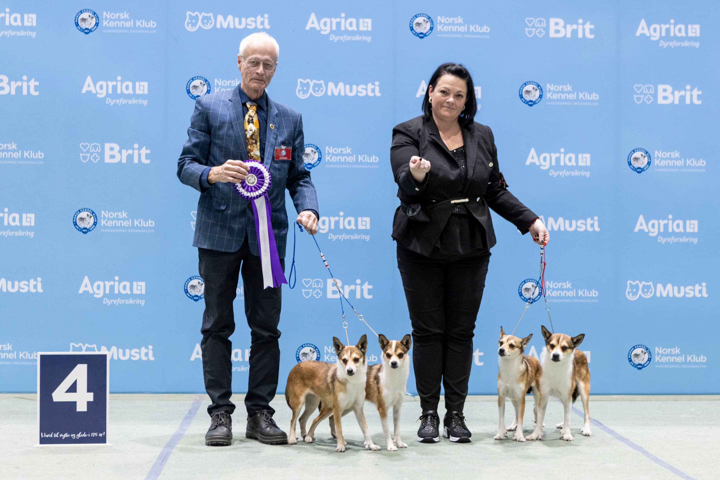 Pride Of Norway – Norsk lundehund kennelbilde