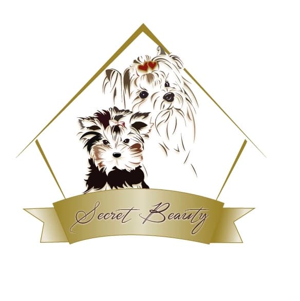Secret Beauty – Yorkshire terrier kennelbilde