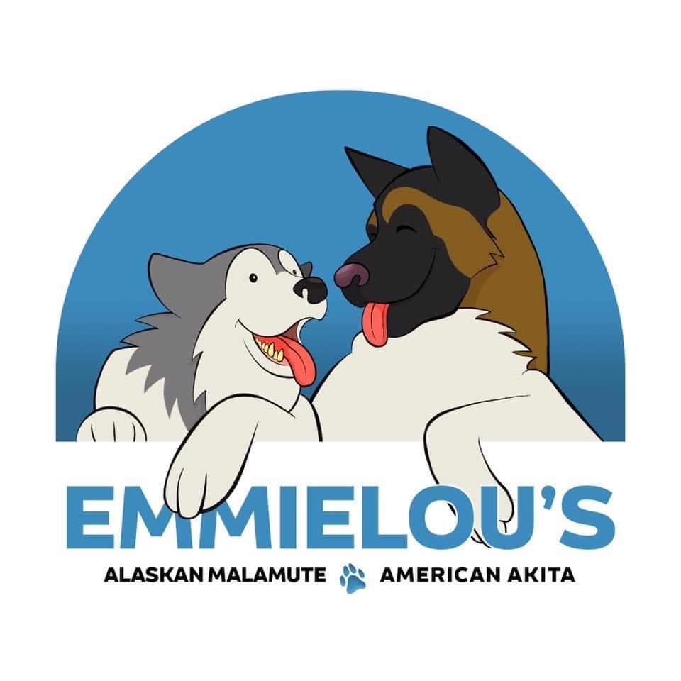 EmmieLou’s – Alaskan malamute kennelbilde