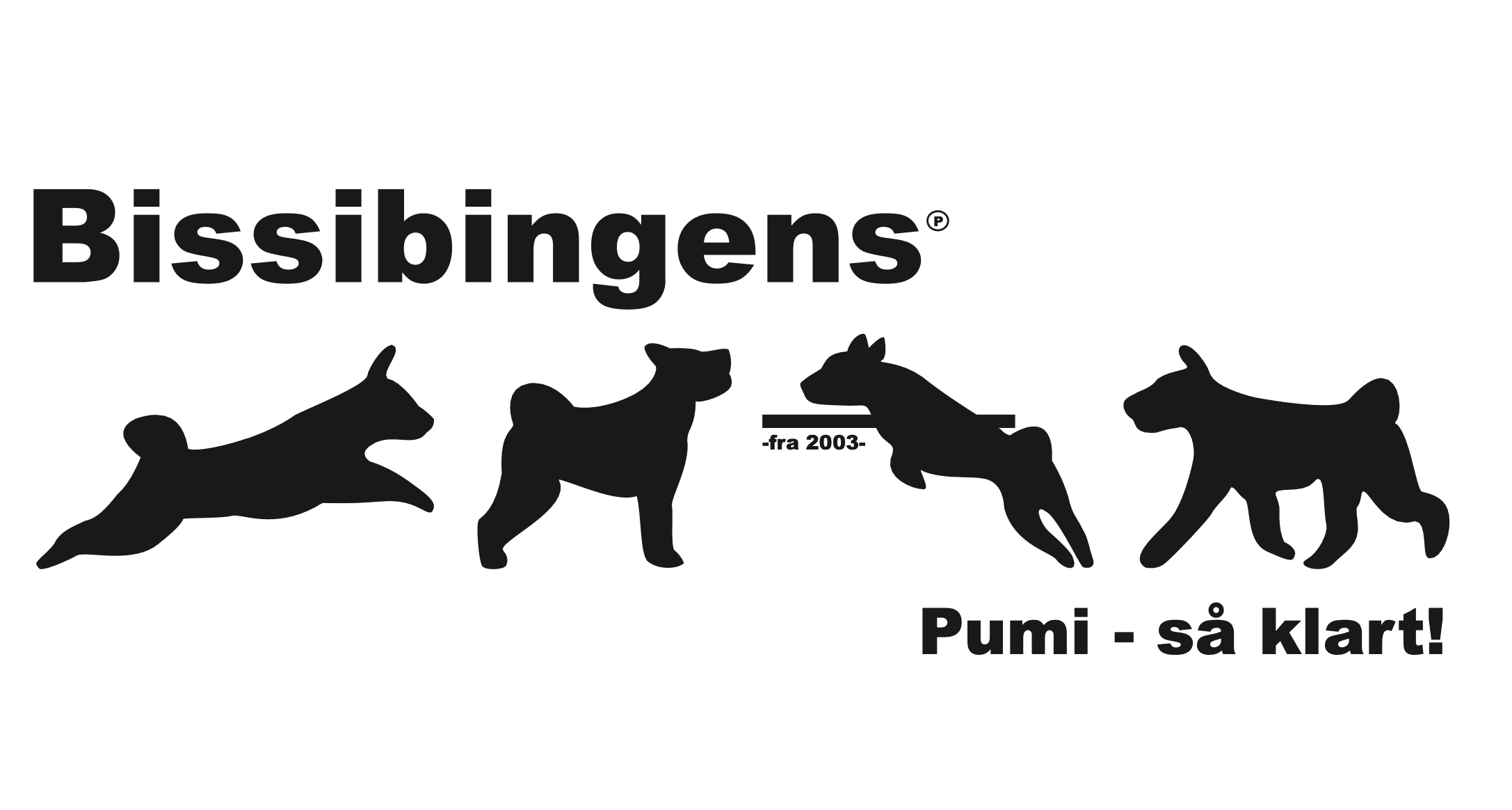 Bissibingens – Pumi kennelbilde