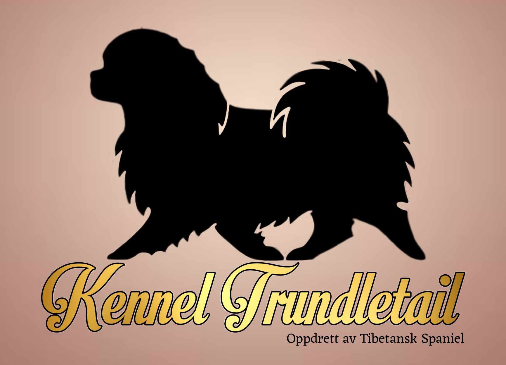 Trundletail's – Tibetansk spaniel kennelbilde
