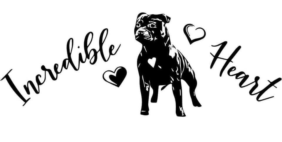 Incredible Heart – Staffordshire bull terrier kennelbilde