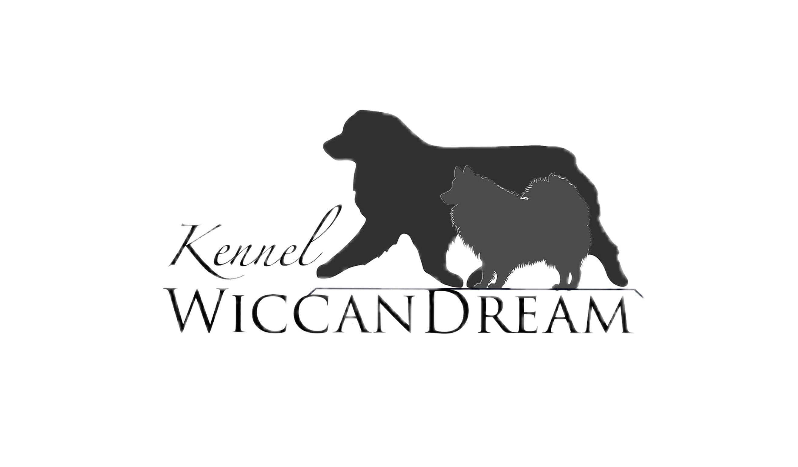 Kennel WiccanDream – Australian shepherd kennelbilde