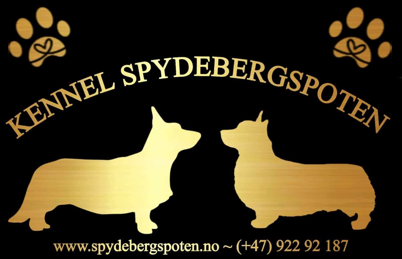 Spydebergspoten