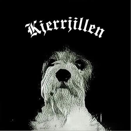 Kjerrjillen – Petit basset griffon vendeen kennelbilde