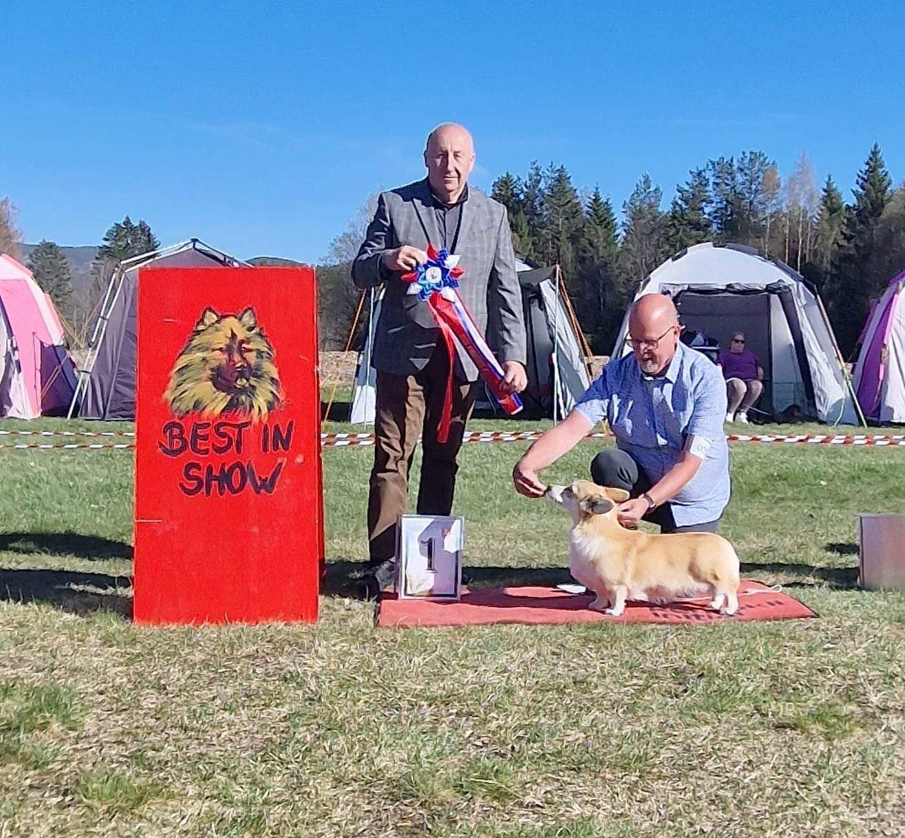 Kennel Iswita – Welsh corgi pembroke kennelbilde