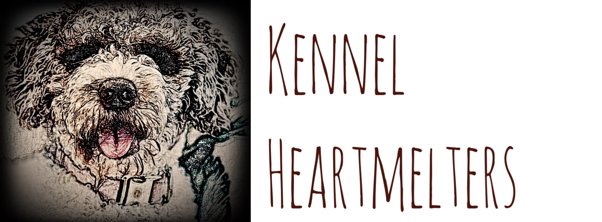 Kennel Heartmelters – Spansk vannhund kennelbilde