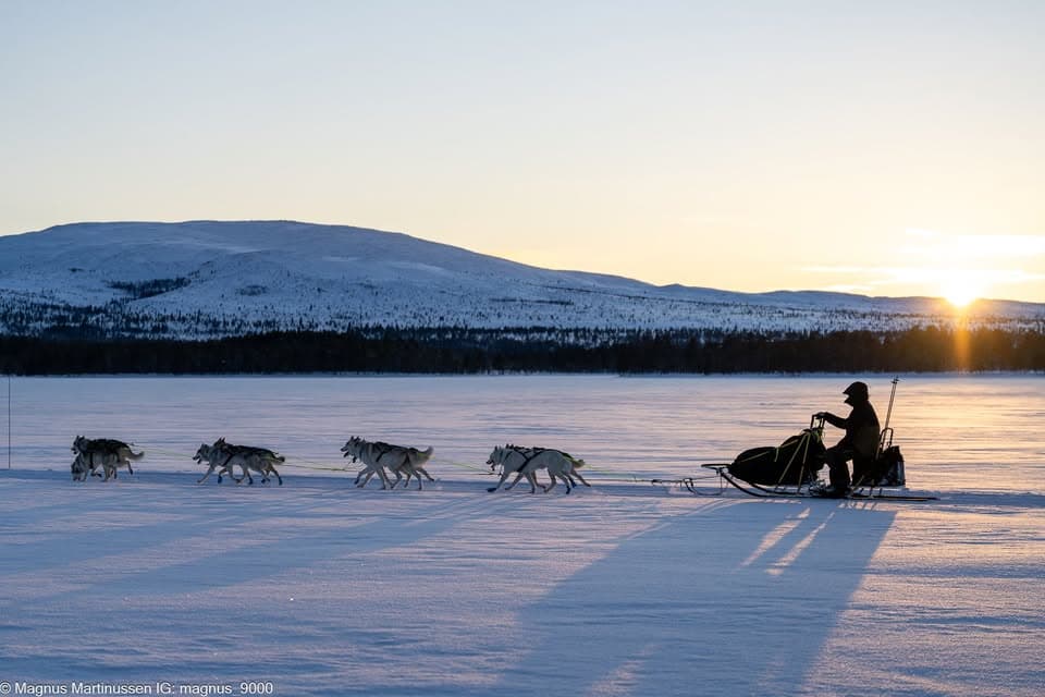 Team Tuva – Siberian husky kennelbilde