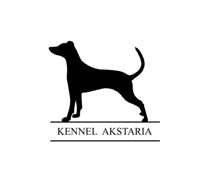 Akstaria – Pinscher kennelbillede