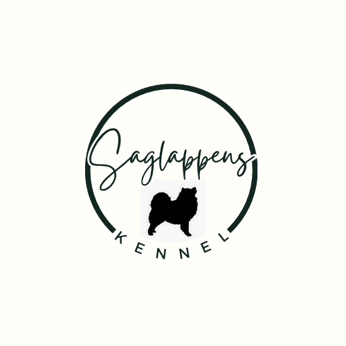 Saglappens Kennel – Finsk lapphund kennelbilde