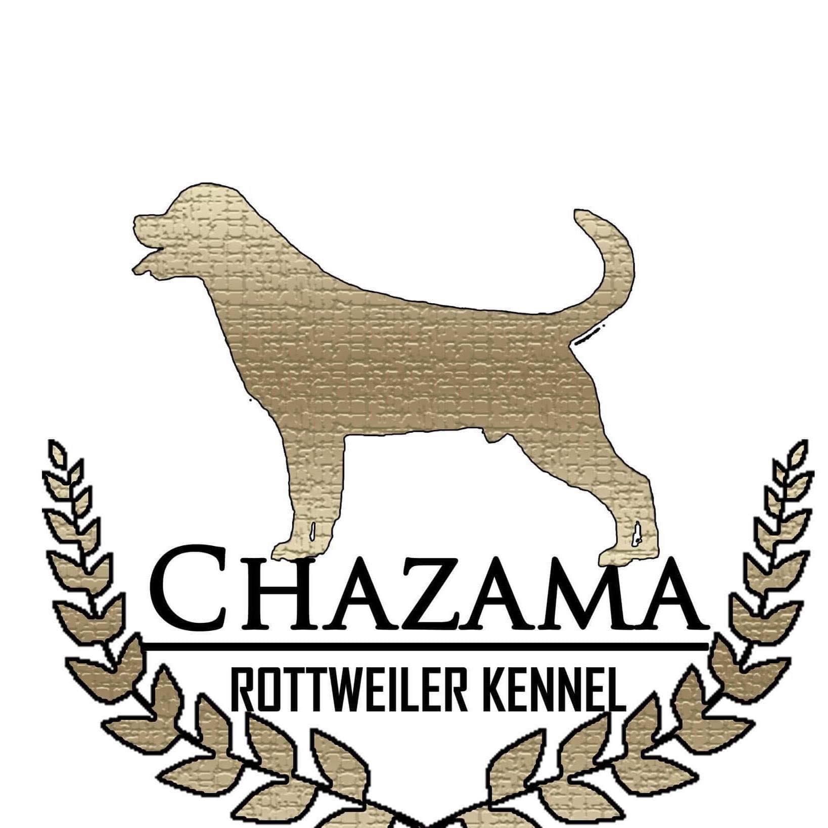 Chazama Kennel – Rottweiler kennelbilde