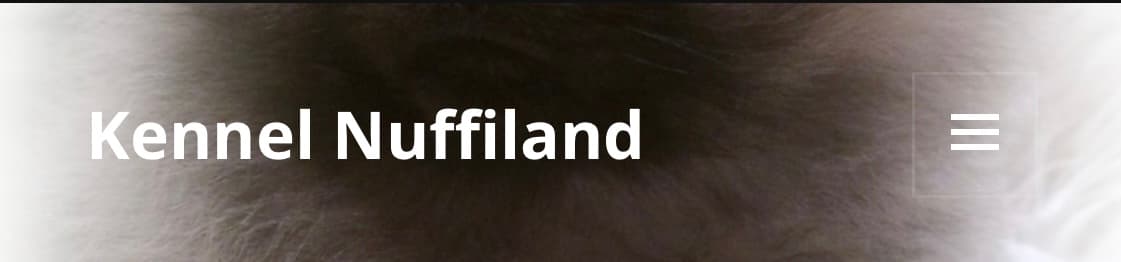Nuffiland – Fransk bulldog kennelbilde